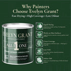 EVELYN GRANT - INTERIOR & EXTERIOR - ALL IN ONE PAINT - PaintOutlet.co.uk