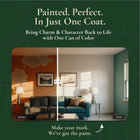 EVELYN GRANT - INTERIOR & EXTERIOR - ALL IN ONE PAINT - PaintOutlet.co.uk